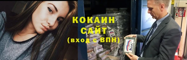 ALPHA PVP Гусев