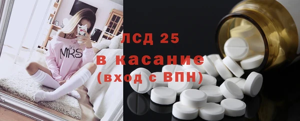 шишки Дмитриев