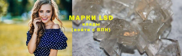 ALPHA PVP Гусев