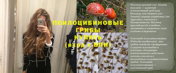 ALPHA PVP Гусев