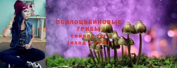 прущие крисы Гусь-Хрустальный
