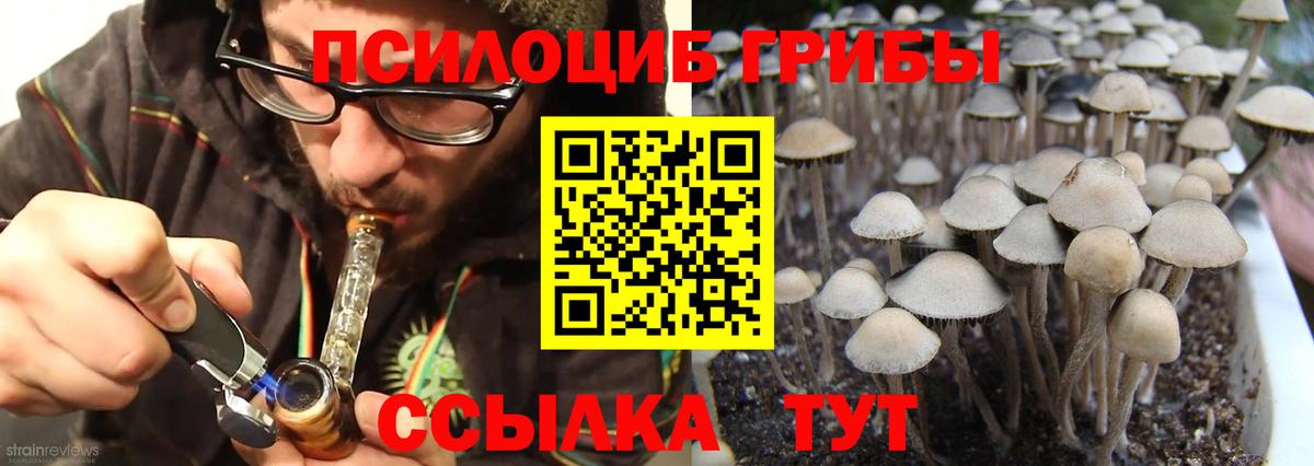Псилоцибиновые грибы прущие грибы Вичуга